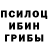 Галлюциногенные грибы прущие грибы TimonXchannel